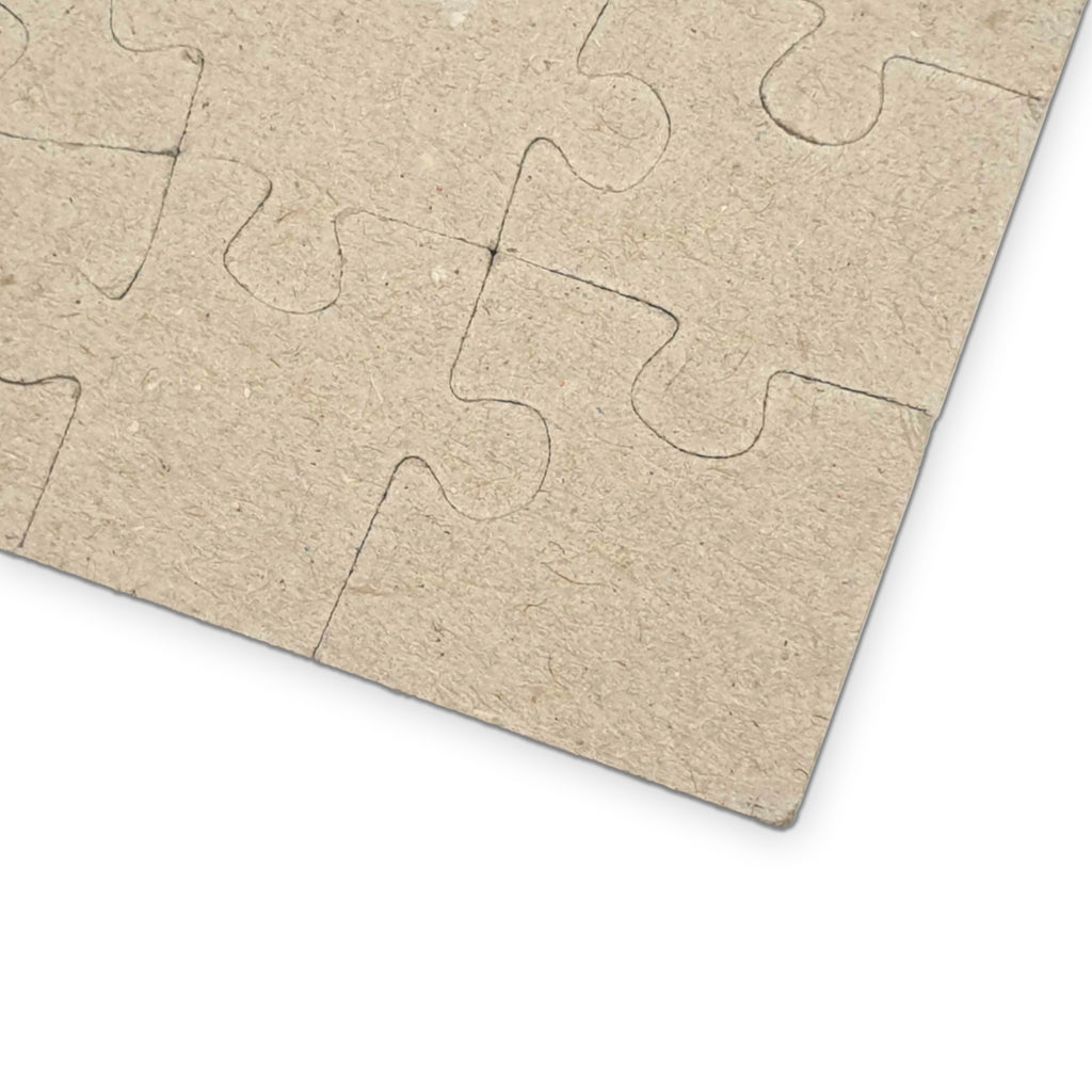 Stepbrothers puzzle